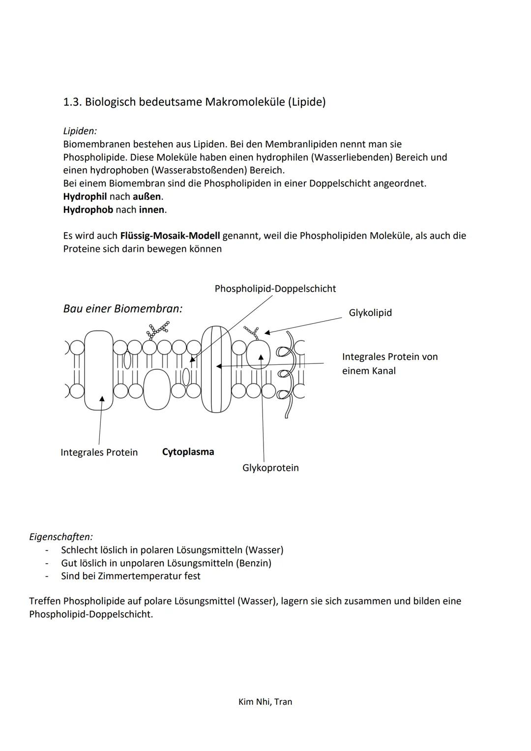 # 1. Biologie Klausur
LERNZETTEL

# 1. Biologie der Zelle

1.  1. Vergleich der Tierischen/Pflanzlichen Zelle:

Tierische Zelle

- Zellmembr