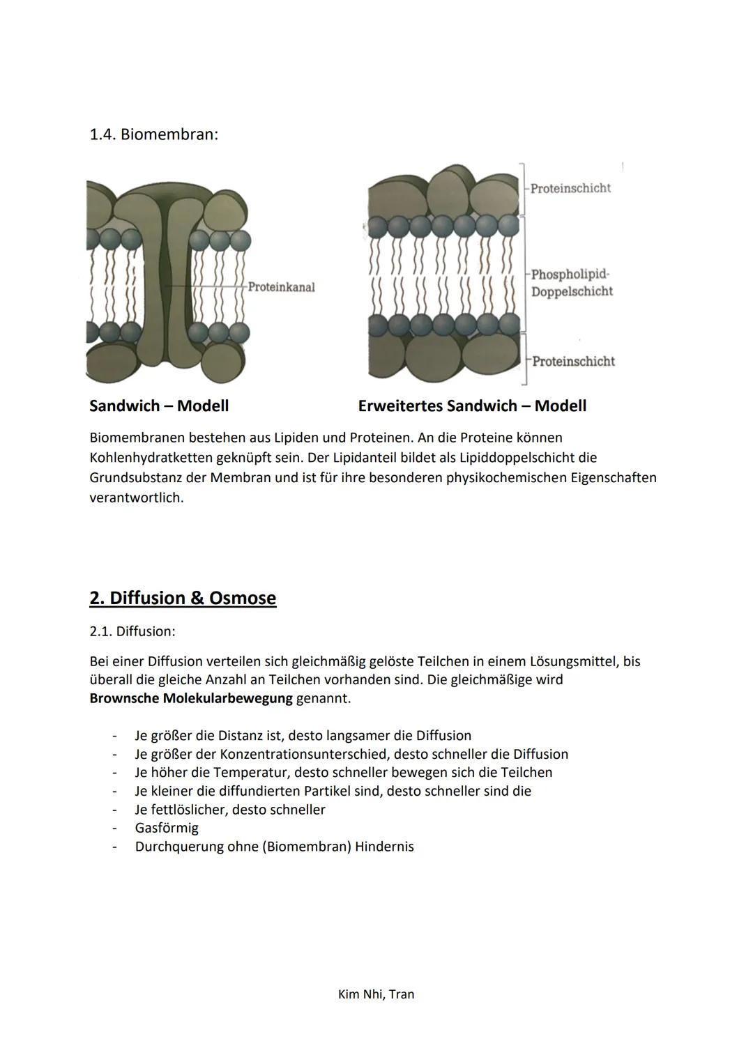 # 1. Biologie Klausur
LERNZETTEL

# 1. Biologie der Zelle

1.  1. Vergleich der Tierischen/Pflanzlichen Zelle:

Tierische Zelle

- Zellmembr
