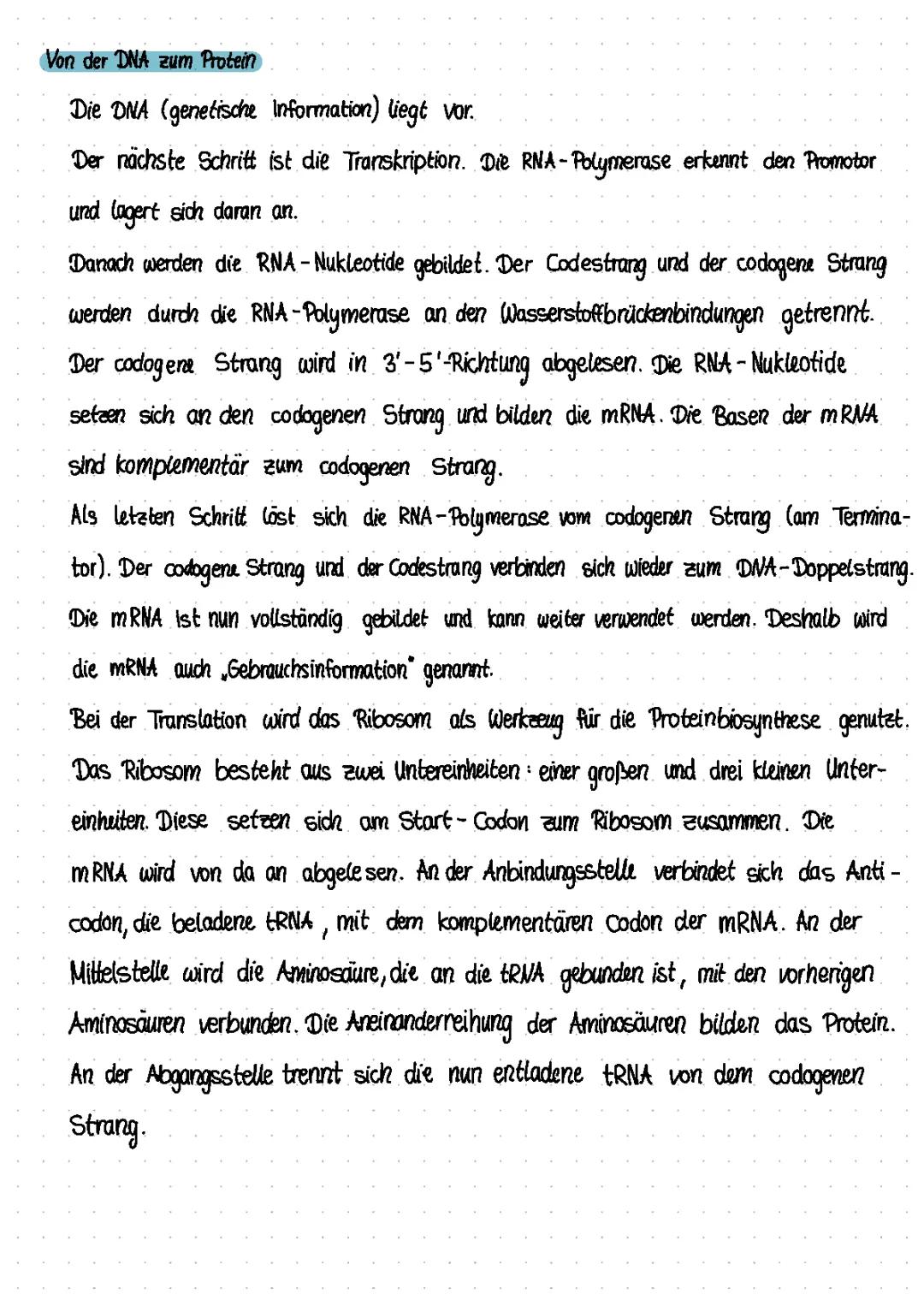 Von der DNA zum Protein