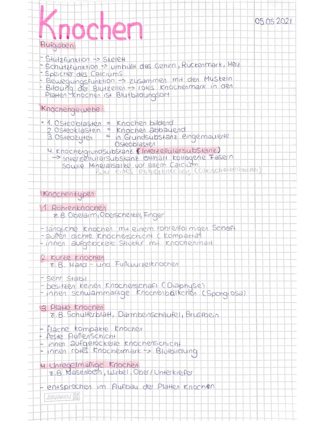 Knochentypen 