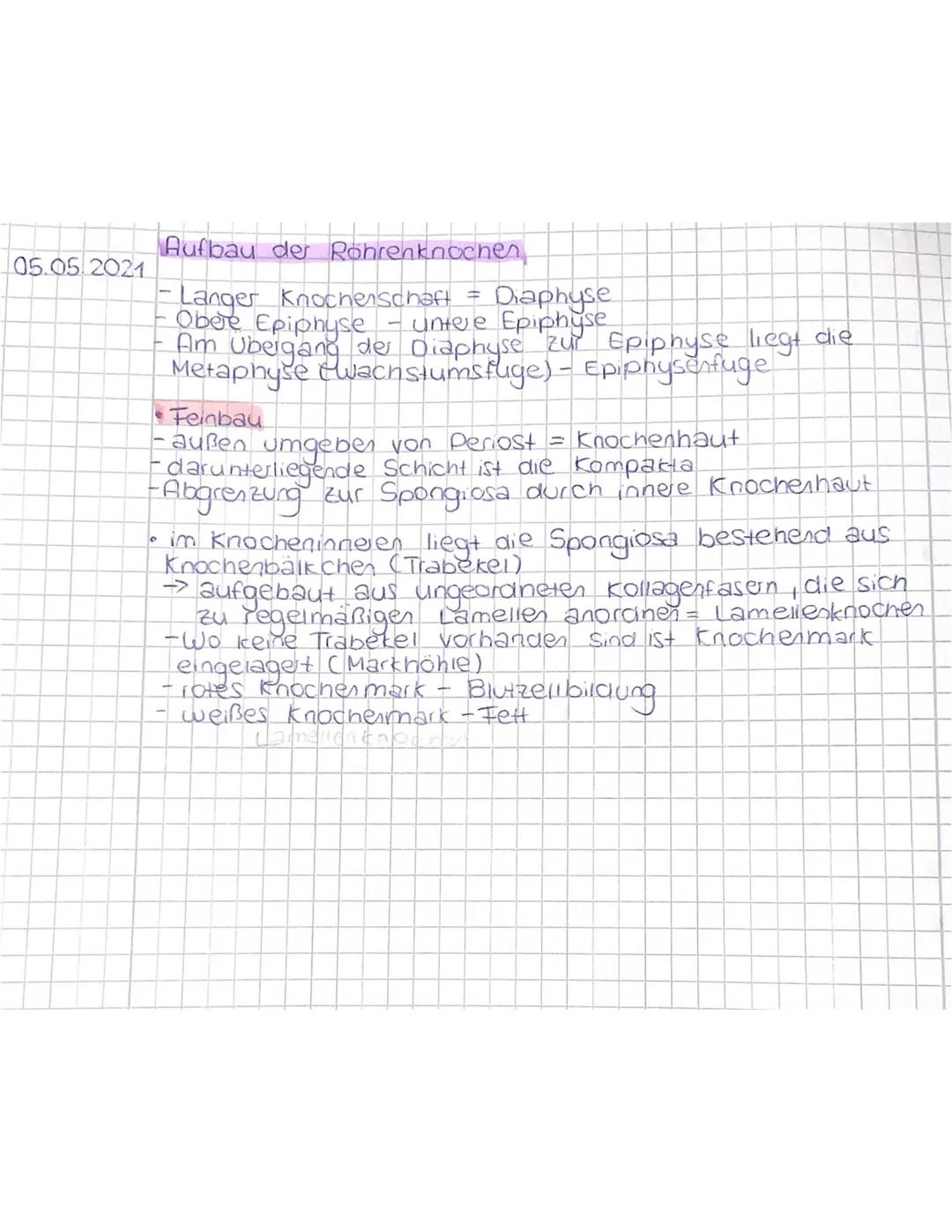Knochen
Aufgaben
-Stützfunktion -> Skelet
-Schutzfunktion -> umhüllt das Gehirn, Rückenmark, Herz
Speicher des Calciums
Bewegungsfunktion ->