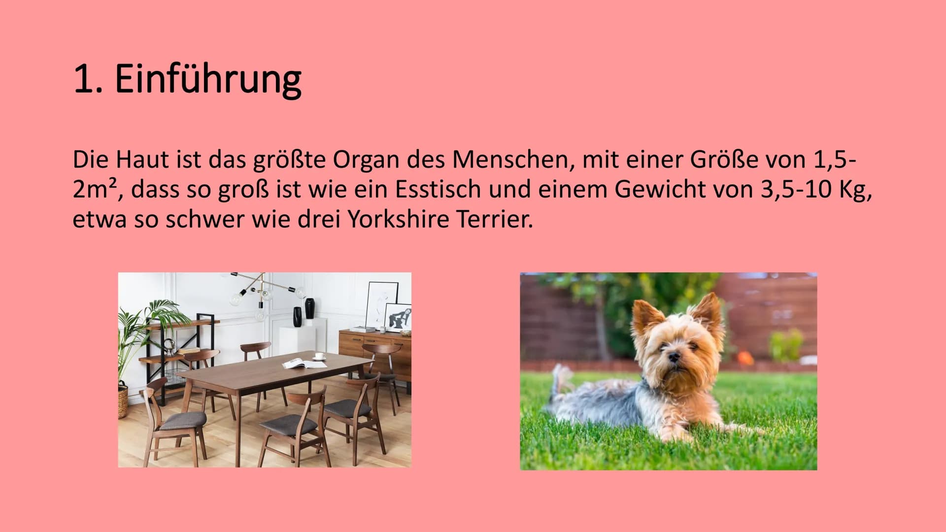 Die Haut
@schoolmuggle Gliederung
1. Einführung
2. Aufgaben der Haut
3. Aufbau
Hauttypen: Felder- und Leistenhaut
• Oberhaut
Lederhaut
Unter