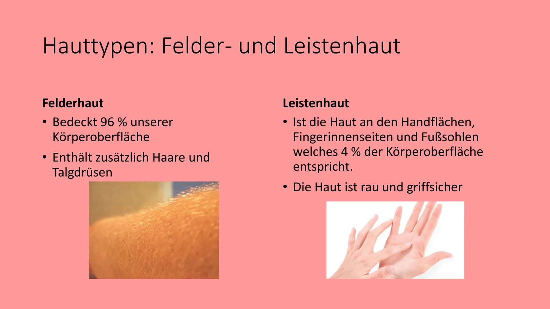 Die Haut
@schoolmuggle Gliederung
1. Einführung
2. Aufgaben der Haut
3. Aufbau
Hauttypen: Felder- und Leistenhaut
• Oberhaut
Lederhaut
Unter