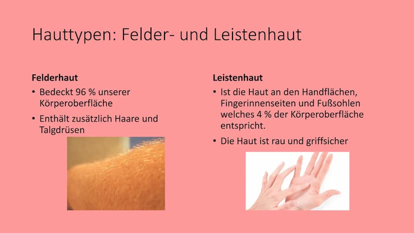 Die Haut
@schoolmuggle Gliederung
1. Einführung
2. Aufgaben der Haut
3. Aufbau
Hauttypen: Felder- und Leistenhaut
• Oberhaut
Lederhaut
Unter