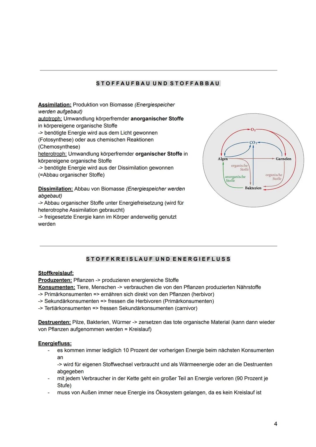 Die Bergmannsche Regel:
Homoiotherme, nah verwandte Tiere, sind in wärmeren Klimaten kleiner als in kälteren.
-> geht um dem Zusammenhang vo
