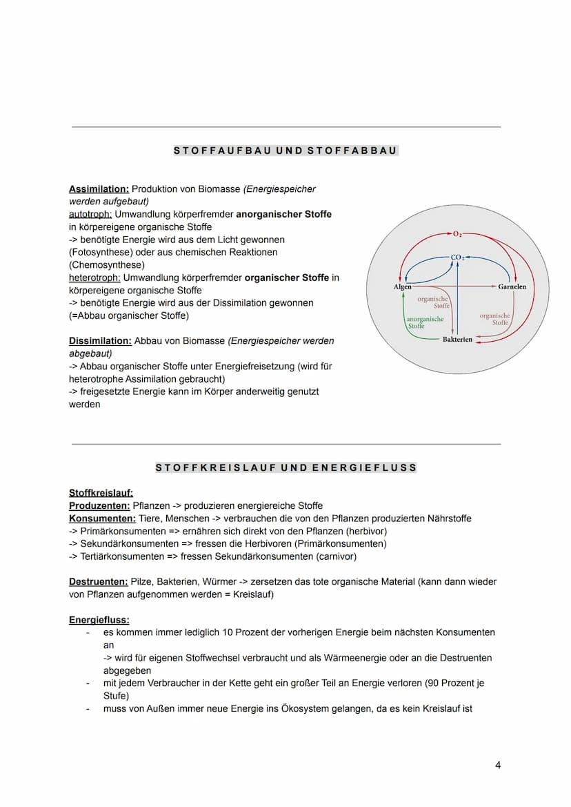 Die Bergmannsche Regel:
Homoiotherme, nah verwandte Tiere, sind in wärmeren Klimaten kleiner als in kälteren.
-> geht um dem Zusammenhang vo