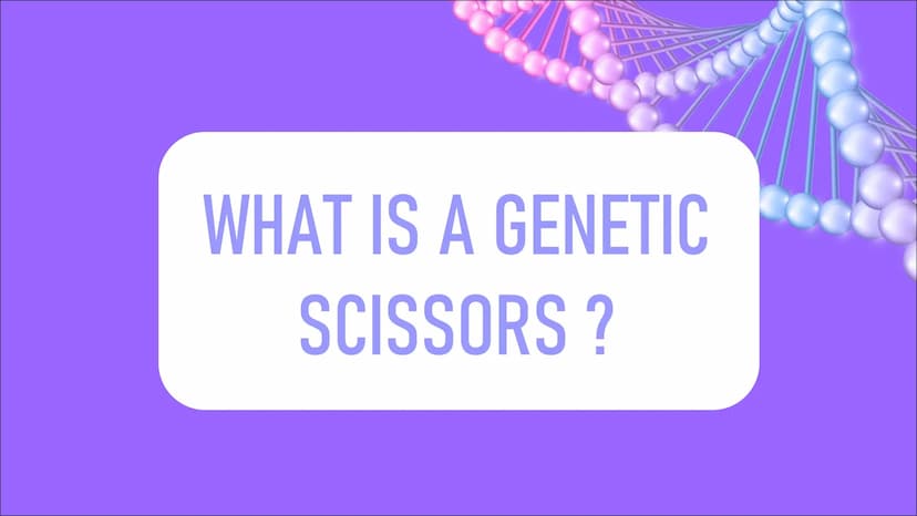 WITH
GENETIC
ENGENEERING
CRISPR/CAS9 WHAT IS A GENETIC
SCISSORS ? -1-
LIST OF CONTENTS
DEFINITION
WHAT IS
CRISPR / CAS9?
-2-
PROCEDURE
HOW D