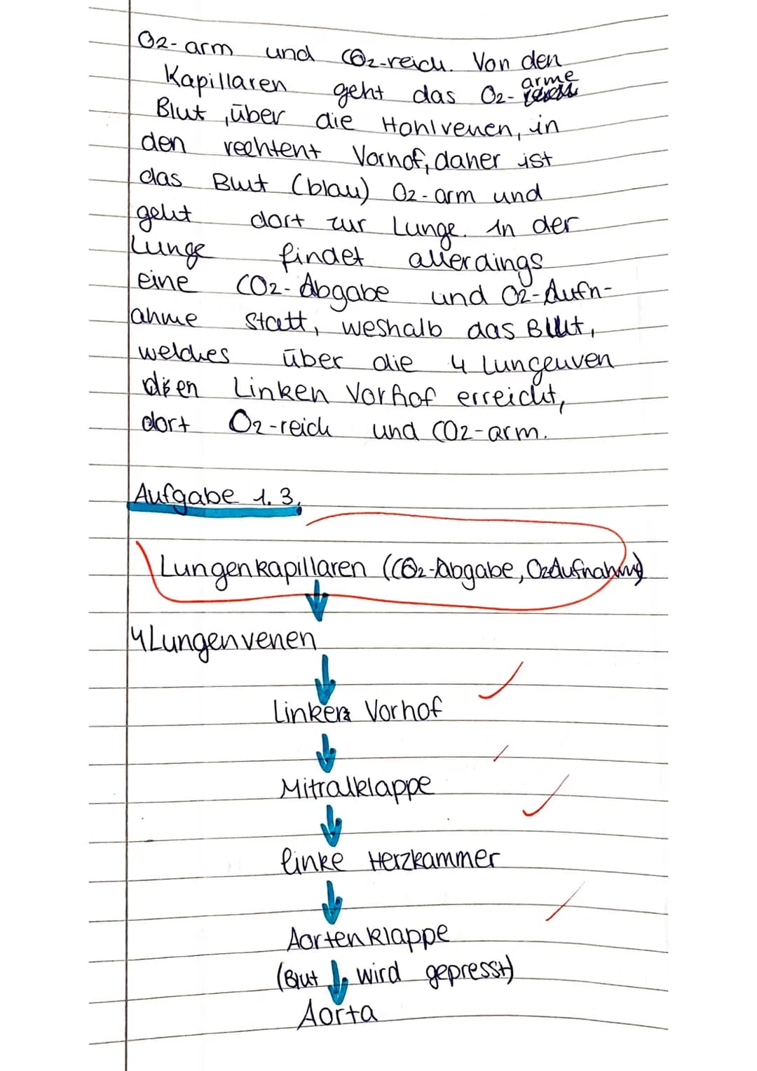 Definition Definition,
Definition. Ente
Prognose
Wenn
möglich
vermutlich
-
Membranose & Ventrikel septum-
Membran att
operen Tellisen)
Perim
