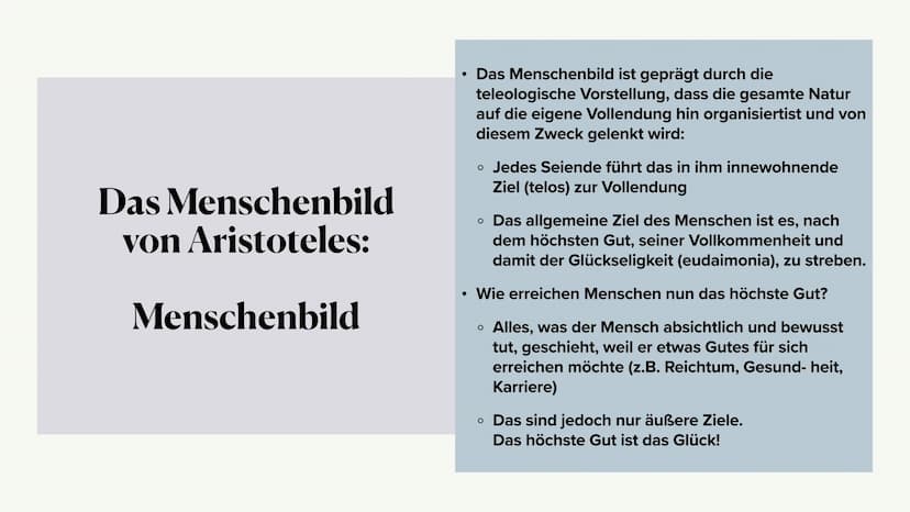 Aristoteles
von Katharina Müller, Philo GK Q1 bei Frau Spuhl ●
Aristoteles Leben
• Was er gemacht hat
Das Menschenbild
• Ergon Argument
Grun