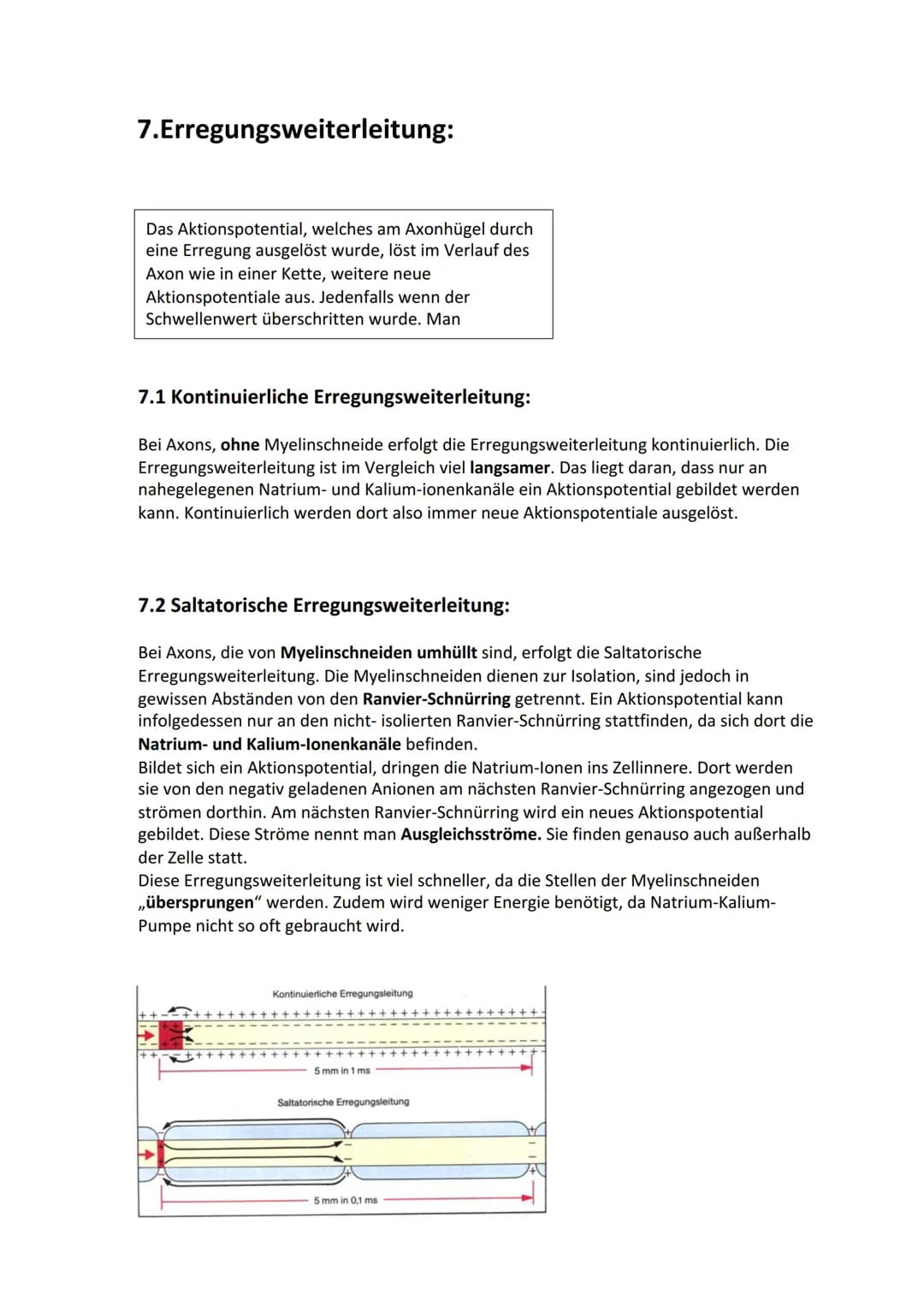 Biologie Lernzettel: Neurobiologie
Inhaltsverzeichnis
1. Aufbau Neuron.....
2. Axon Membran........
3. Elektrisches und chemisches Potential