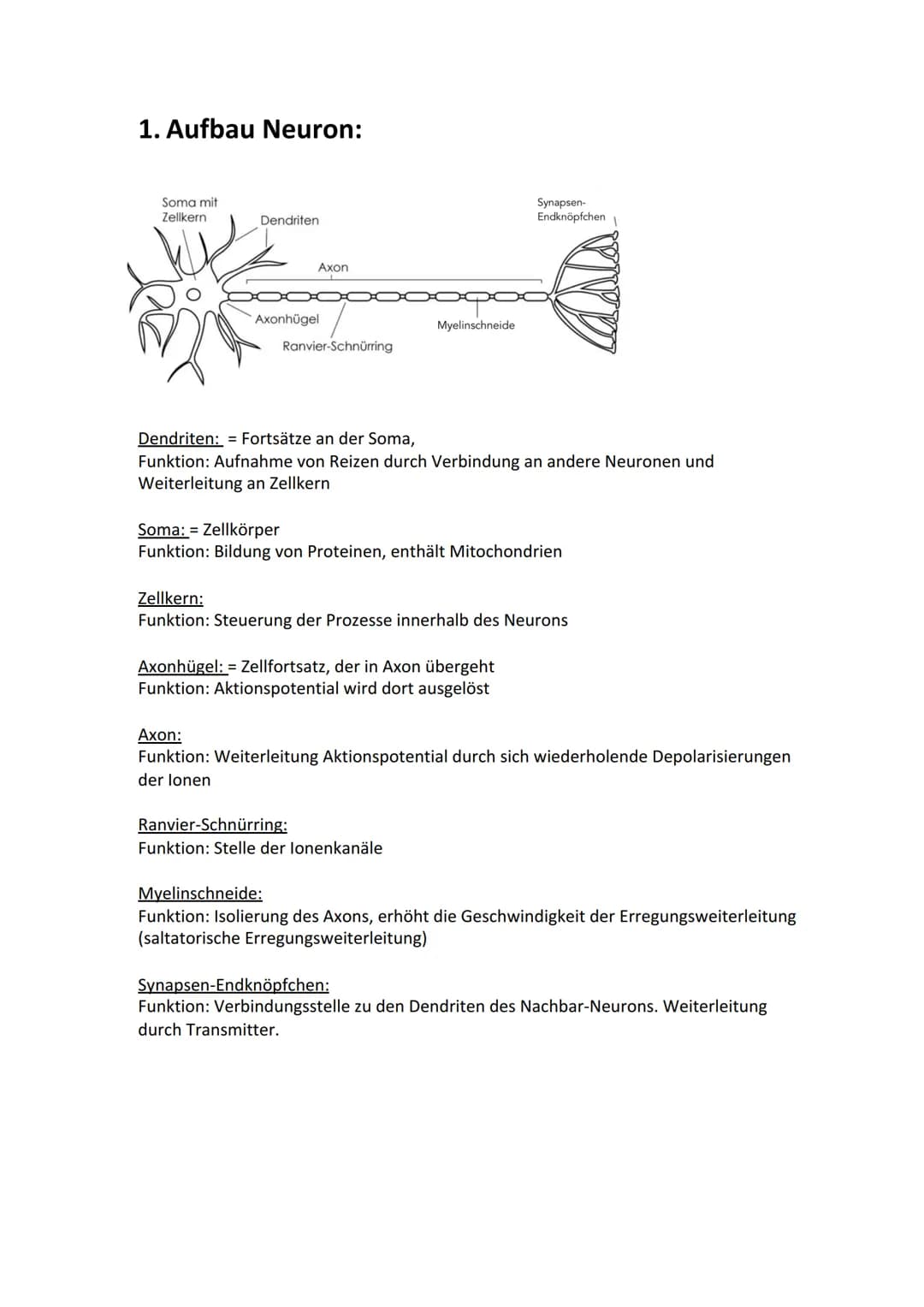 Biologie Lernzettel: Neurobiologie
Inhaltsverzeichnis
1. Aufbau Neuron.....
2. Axon Membran........
3. Elektrisches und chemisches Potential
