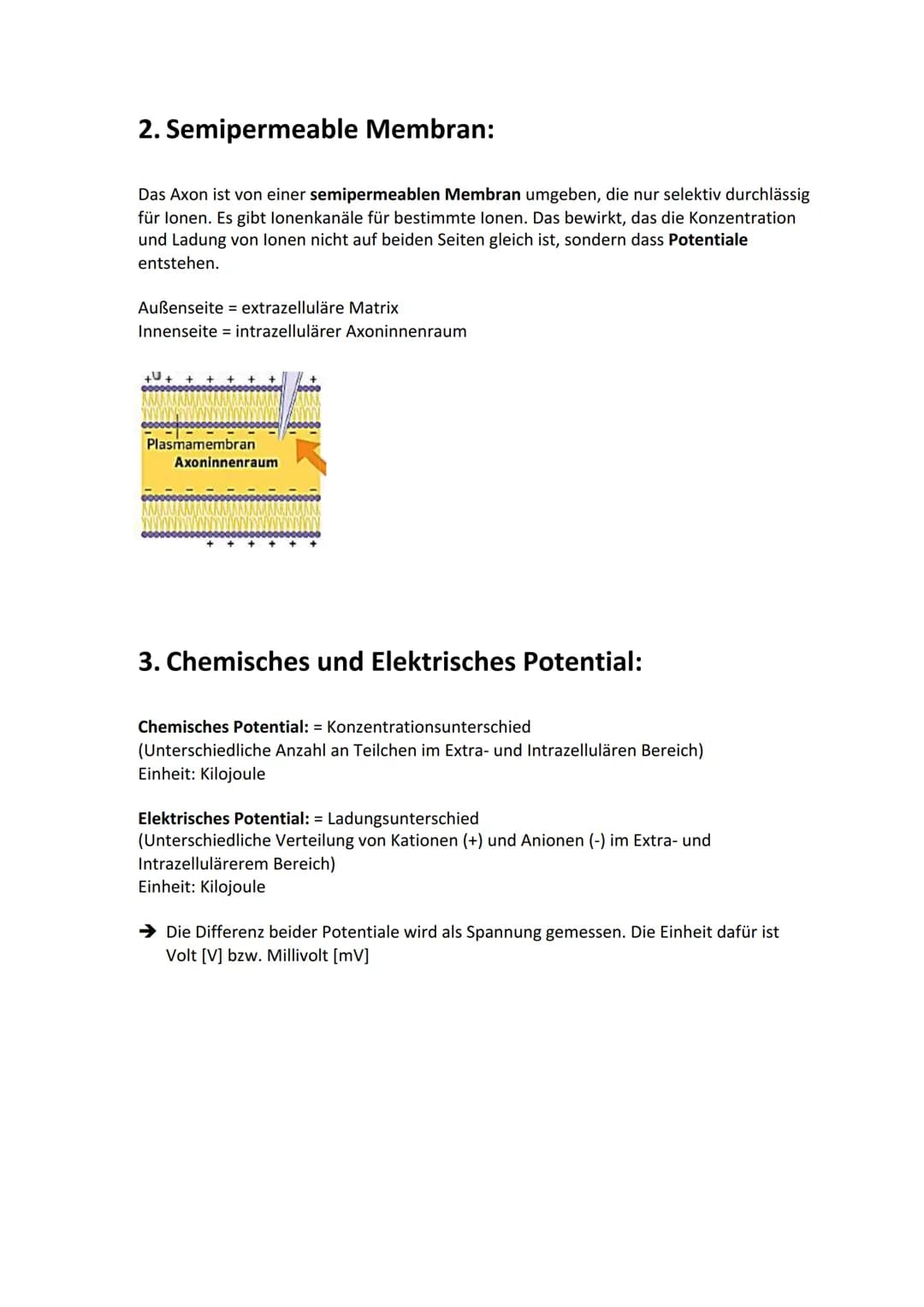 Biologie Lernzettel: Neurobiologie
Inhaltsverzeichnis
1. Aufbau Neuron.....
2. Axon Membran........
3. Elektrisches und chemisches Potential