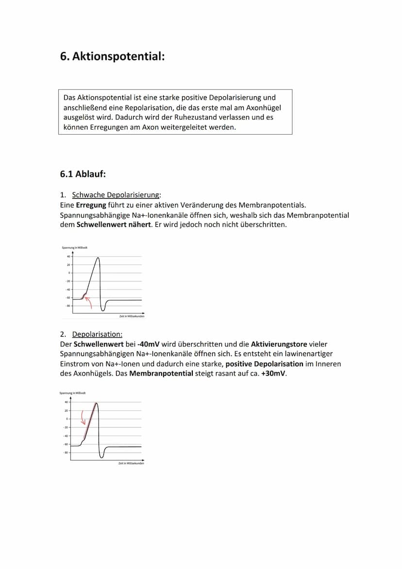 Biologie Lernzettel: Neurobiologie
Inhaltsverzeichnis
1. Aufbau Neuron.....
2. Axon Membran........
3. Elektrisches und chemisches Potential