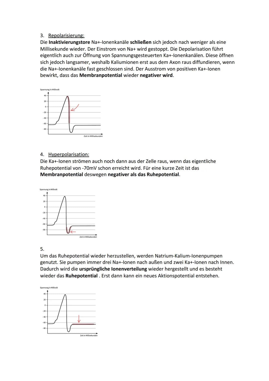 Biologie Lernzettel: Neurobiologie
Inhaltsverzeichnis
1. Aufbau Neuron.....
2. Axon Membran........
3. Elektrisches und chemisches Potential