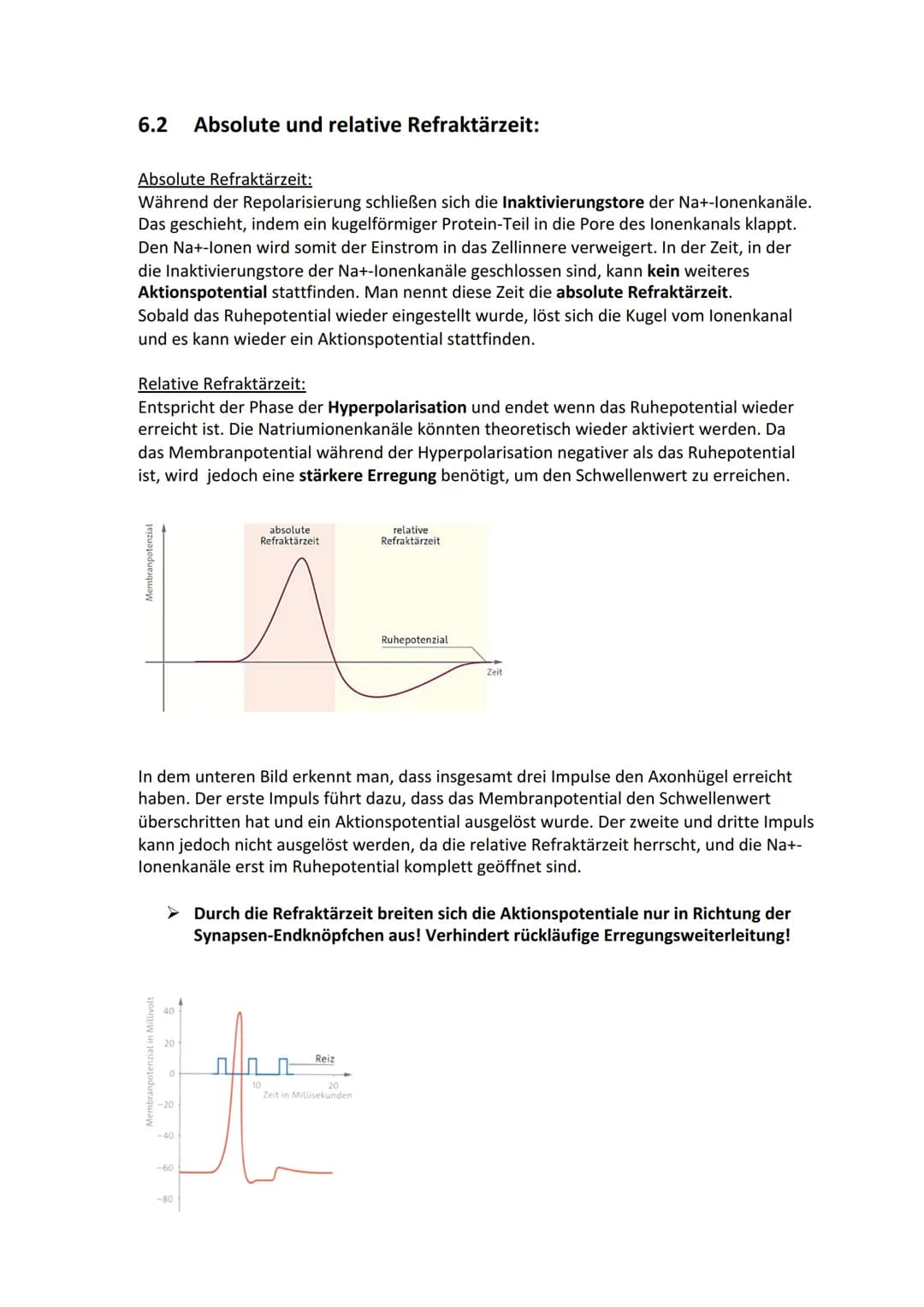 Biologie Lernzettel: Neurobiologie
Inhaltsverzeichnis
1. Aufbau Neuron.....
2. Axon Membran........
3. Elektrisches und chemisches Potential