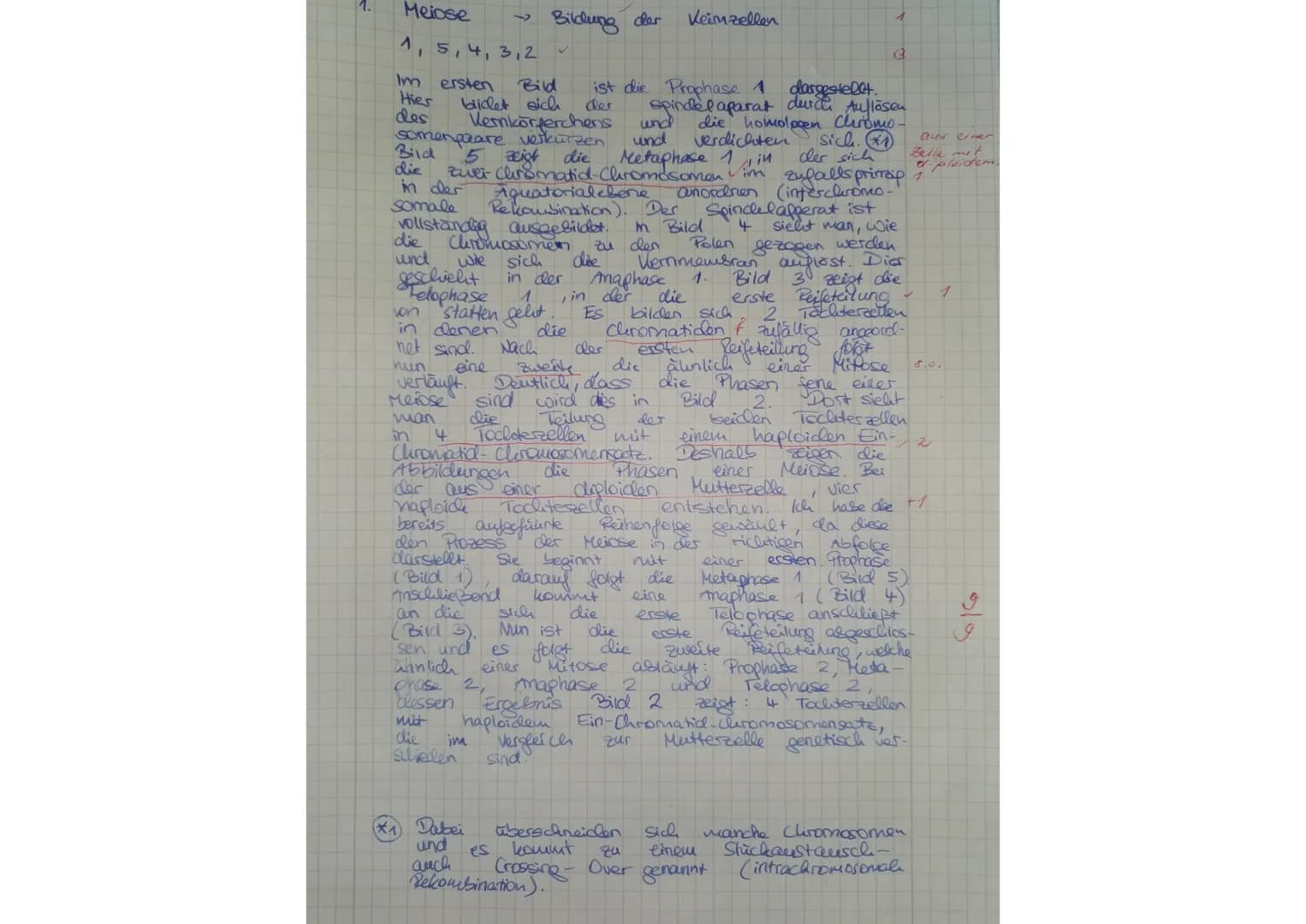 SC
ads
2
3-
Kern- und Zeliteilungen
Die folgenden Abbildungen zeigen einige typische Phasen eines Kern- und
Zeliteilungsprozesses.
3
1
2
5
3