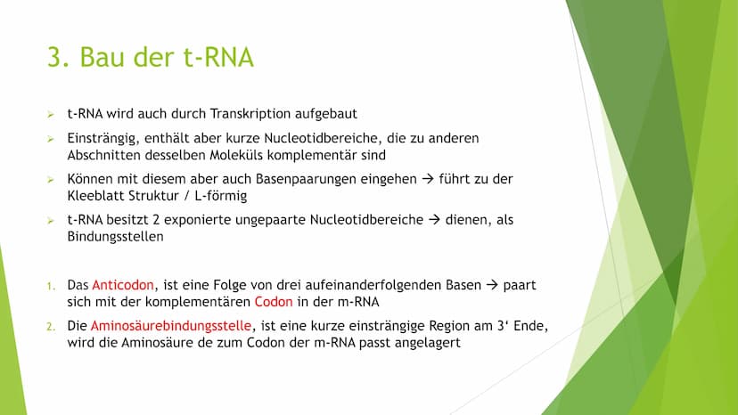 Proteinbiosynthese
Von Novalee Mader Gliederung:
1. Die Transkription der DNA = Initiation, Elongation, Termination
2. Die Prozessierung der