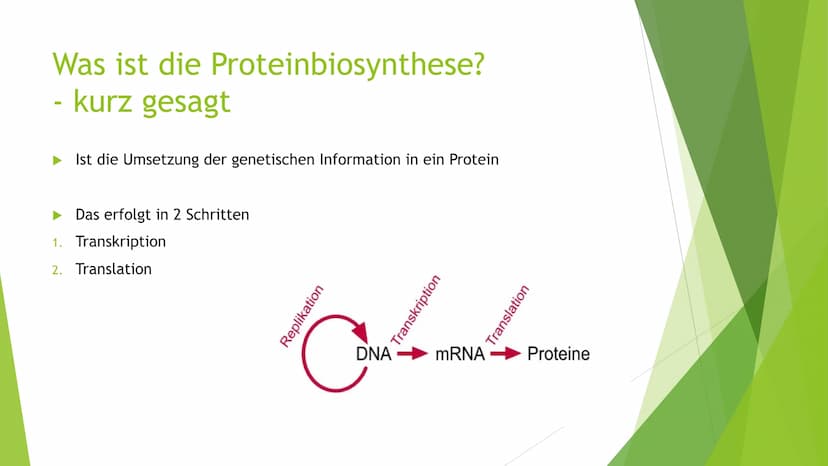 Proteinbiosynthese
Von Novalee Mader Gliederung:
1. Die Transkription der DNA = Initiation, Elongation, Termination
2. Die Prozessierung der