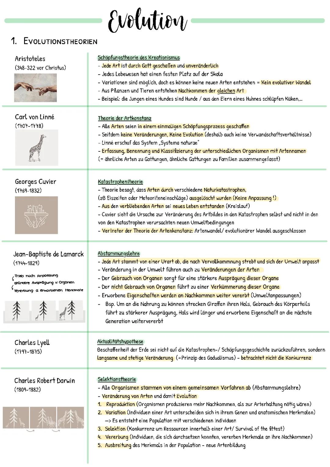 Artenkonstanz, Kreationismus und die Katastrophentheorie von Cuvier