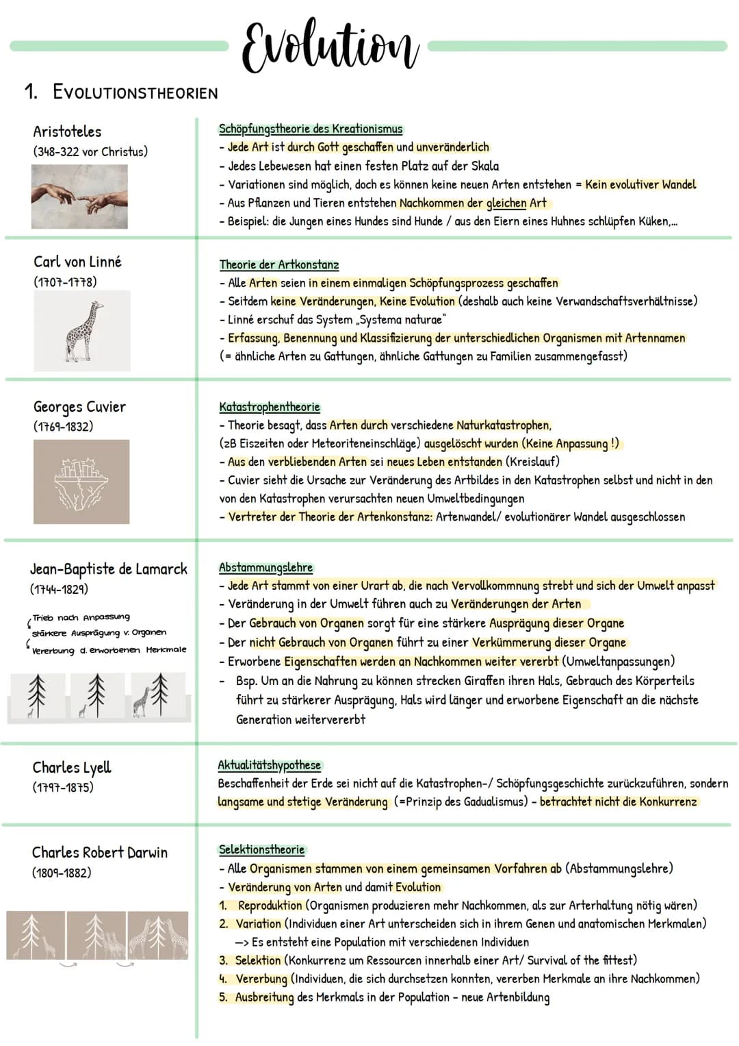 1. EVOLUTIONSTHEORIEN
Aristoteles
(348-322 vor Christus)
Carl von Linné
(1707-1778)
Georges Cuvier
(1769-1832)
Jean-Baptiste de Lamarck
(174