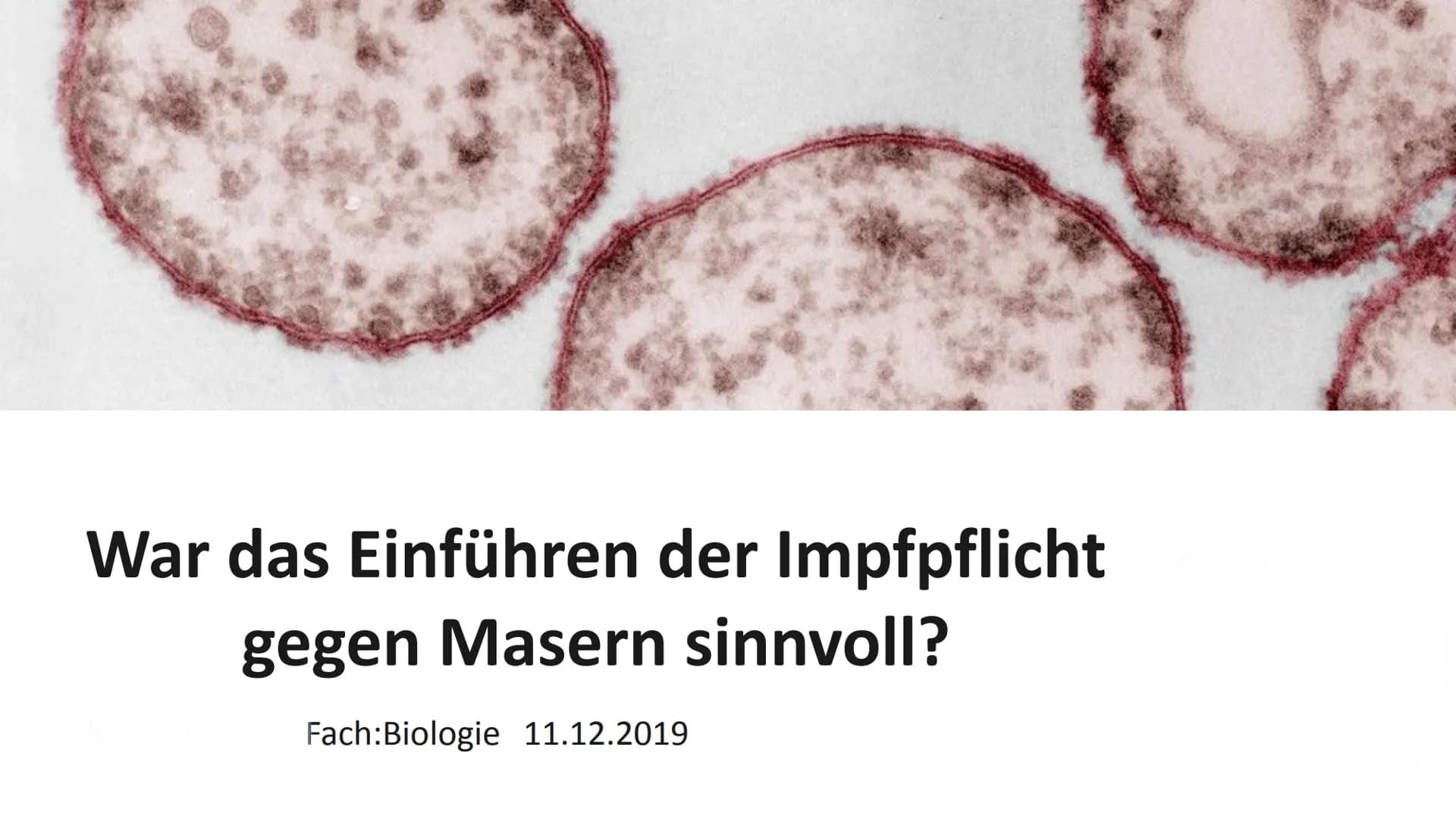 3.Die Verschiedenen Arten von Impfungen
Passive
Immunisierung
Isolierung
Antidreer
Isolierung
Injektion des Impfserums Antikörper
3.2.Die pa