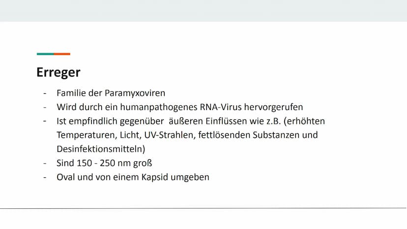3.Die Verschiedenen Arten von Impfungen
Passive
Immunisierung
Isolierung
Antidreer
Isolierung
Injektion des Impfserums Antikörper
3.2.Die pa