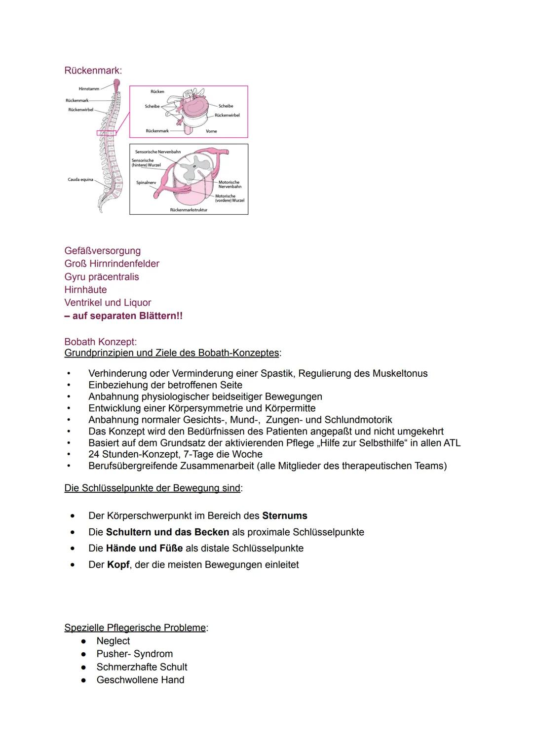 Apoplex Lernzettel
Aufbau des Gehirns:
Großhirn
Zwischenhirn
Thalamus
Hypothalamus
Hypophyse
Balken
Aktionspotenzial
Calcium-Ionenkanäle
prä