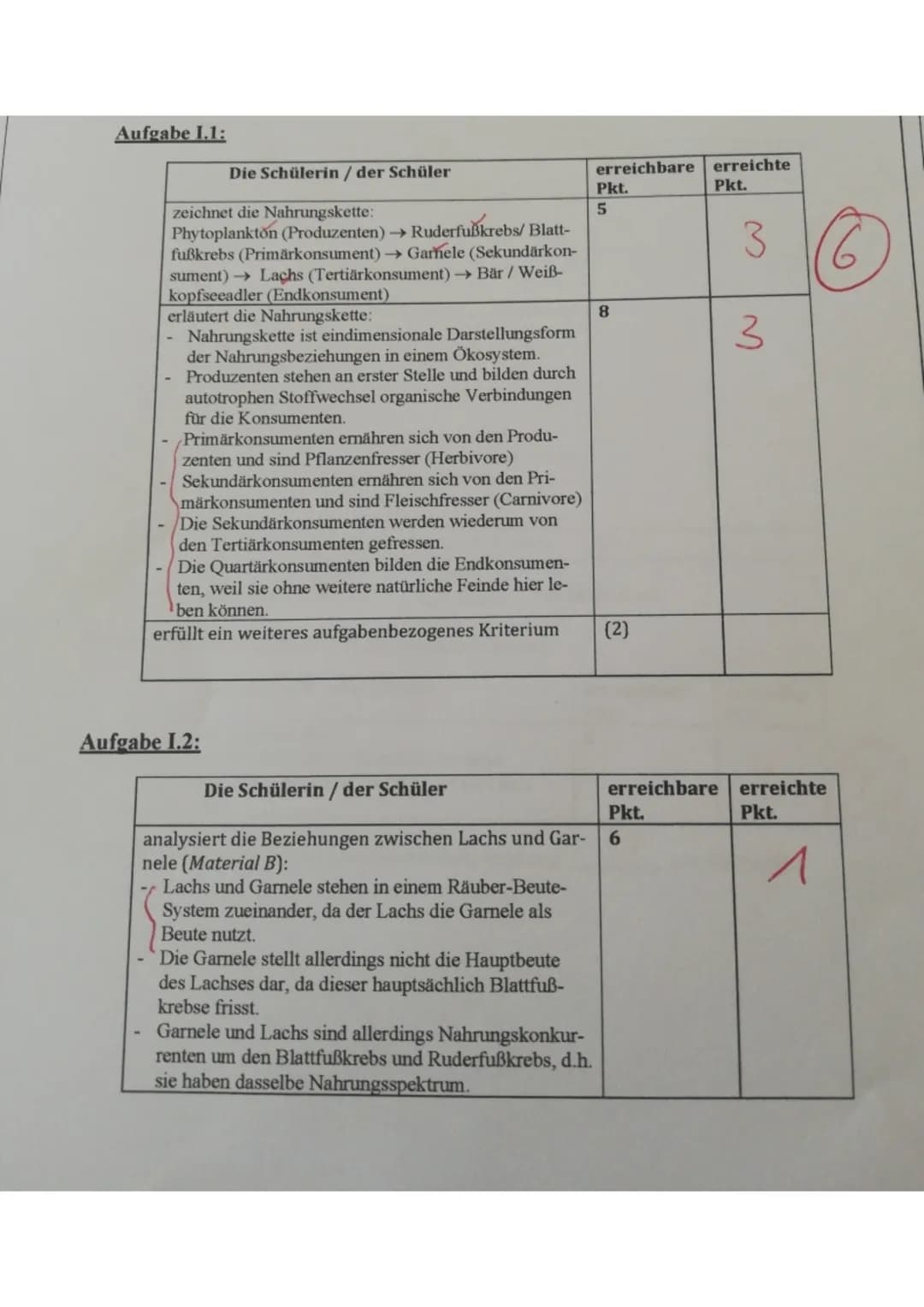 Aufgabe 1.1:
Die Schülerin / der Schüler
zeichnet die Nahrungskette:
Phytoplankton (Produzenten) → Ruderfußkrebs/ Blatt-
fußkrebs (Primärkon