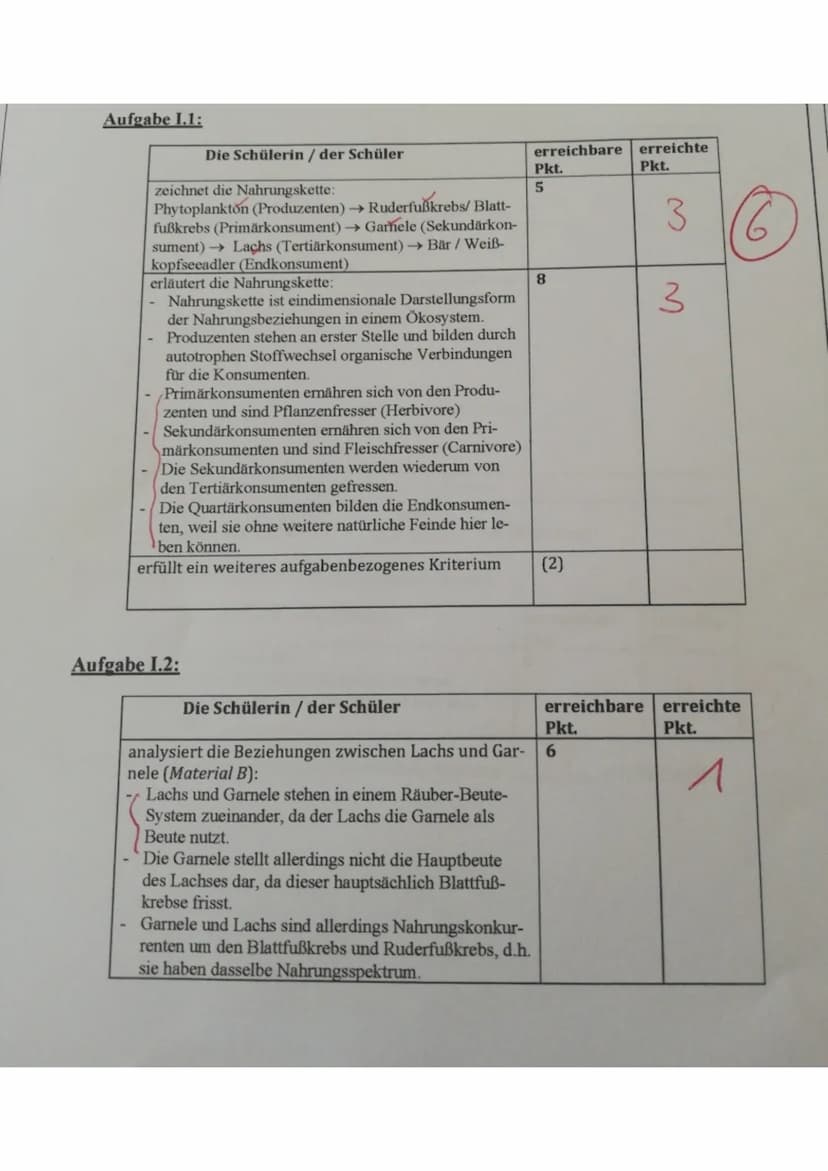 Aufgabe 1.1:
Die Schülerin / der Schüler
zeichnet die Nahrungskette:
Phytoplankton (Produzenten) → Ruderfußkrebs/ Blatt-
fußkrebs (Primärkon