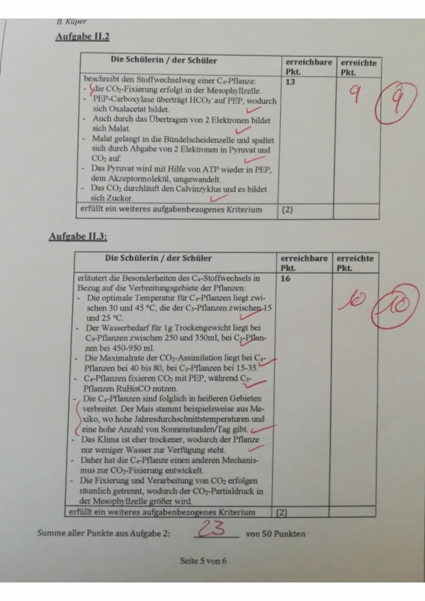 Aufgabe 1.1:
Die Schülerin / der Schüler
zeichnet die Nahrungskette:
Phytoplankton (Produzenten) → Ruderfußkrebs/ Blatt-
fußkrebs (Primärkon