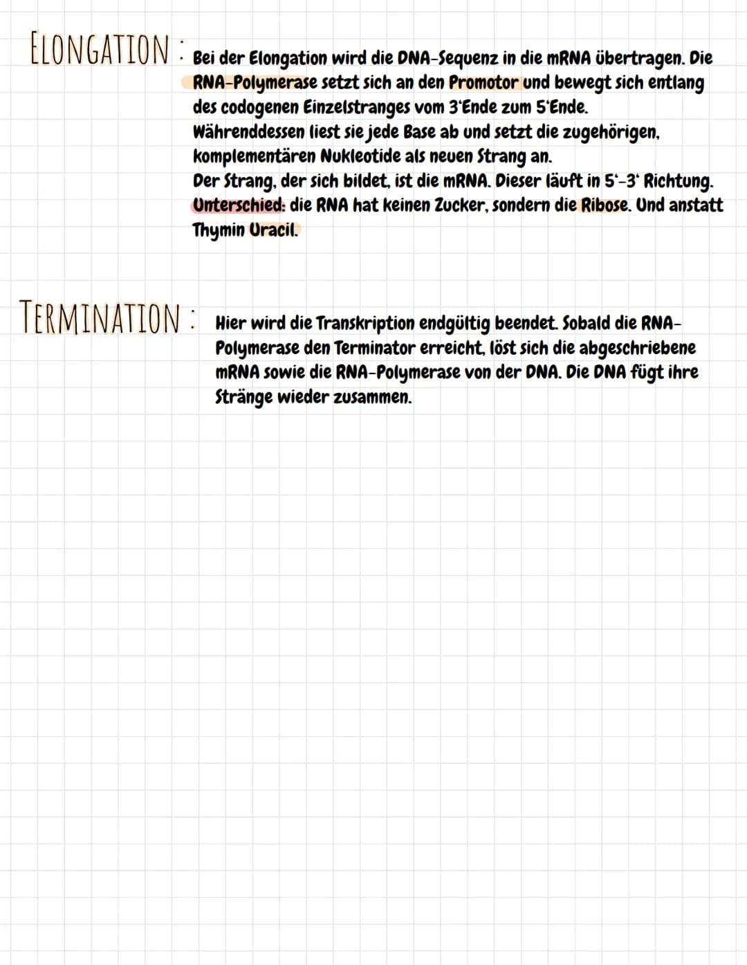 Promoter
3'
5
5'
TRANSKRIPTION
Freie mRNA-
Nukleotide
Codogener Strang
CTGACGGATCAGCCGCAAGCGGAATTAA
GACUGCCUAGUCGGCGUU
mRNA
3'
RNA Polymeras