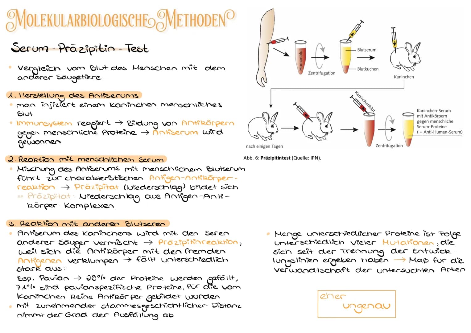 MOLEKULARBIOLOGISCHE METHODEN
Serum-Präzipitin - Test
Vergleich vom Blut des Menschen mit dem
anderer Säugetiere
1. Herstellung des Antiseru