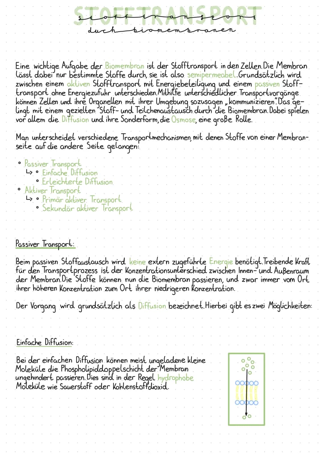 O
StoretvansPORT
Eine wichtige Aufgabe der Biomembran ist der Stofftransport in den Zellen. Die Membran
lässt dabei nur bestimmte Stoffe dur