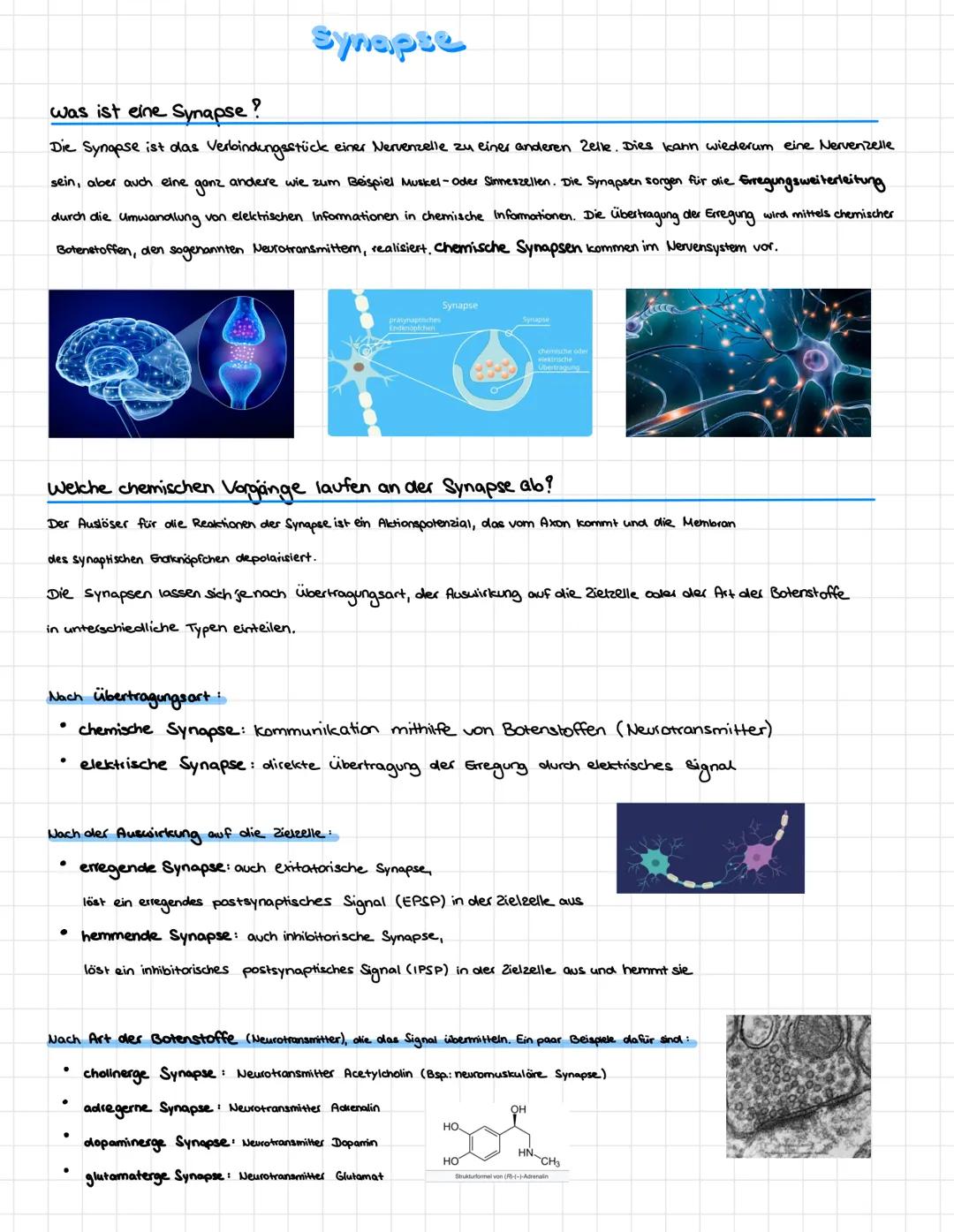 # Synapse

was ist eine Synapse?

Die Synapse ist das Verbindungsstück einer Nervenzelle zu einer anderen Zelle. Dies kann wiederum eine Ner
