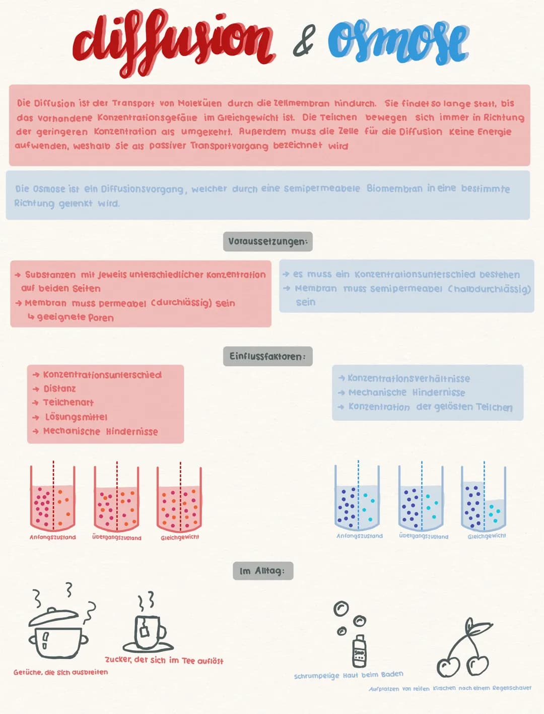 diffusion & osmose
Die Diffusion ist der Transport von Molekülen durch die Zellmembran hindurch. Sie findet so lange Statt, bis
das vorhande