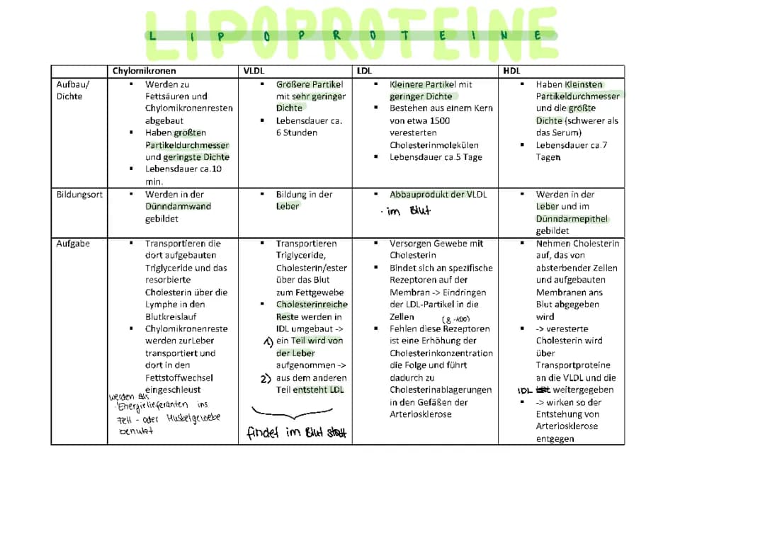 Lipoproteine, Hyperlipoproteinämie