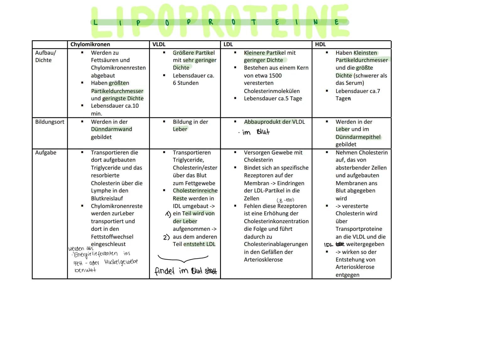 Aufbau/
Dichte
Bildungsort
Aufgabe
LIPOPROTEINE
LDL
Chylomikronen
Werden zu
Fettsäuren und
Chylomikronenresten
abgebaut
■ Haben größten
Part