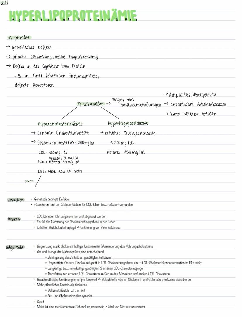 Aufbau/
Dichte
Bildungsort
Aufgabe
LIPOPROTEINE
LDL
Chylomikronen
Werden zu
Fettsäuren und
Chylomikronenresten
abgebaut
■ Haben größten
Part