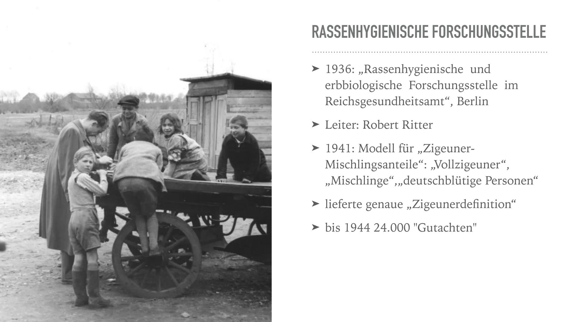 VERFOLGUNG VON SINTI UND ROMA
Kalea Czerny, 12.2, Geschichte Name: Kalea Czerny
Klasse: 12.2
Schule: Joliot-Curie-Gymnasium
Fach: Geschichte