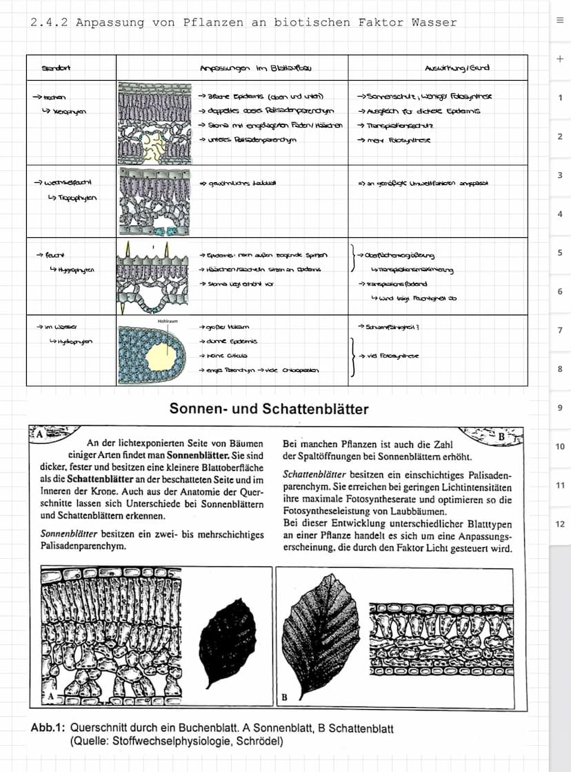 Biologie LK
Abiturvorbereitung abitur.nrw
Leistungskurs
Genetik
Meiose und Rekombination
Analyse von Familienstammbäu-
men
Proteinbiosynthes