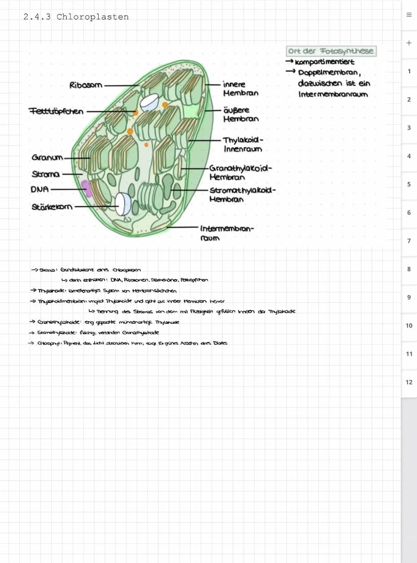 Biologie LK
Abiturvorbereitung abitur.nrw
Leistungskurs
Genetik
Meiose und Rekombination
Analyse von Familienstammbäu-
men
Proteinbiosynthes