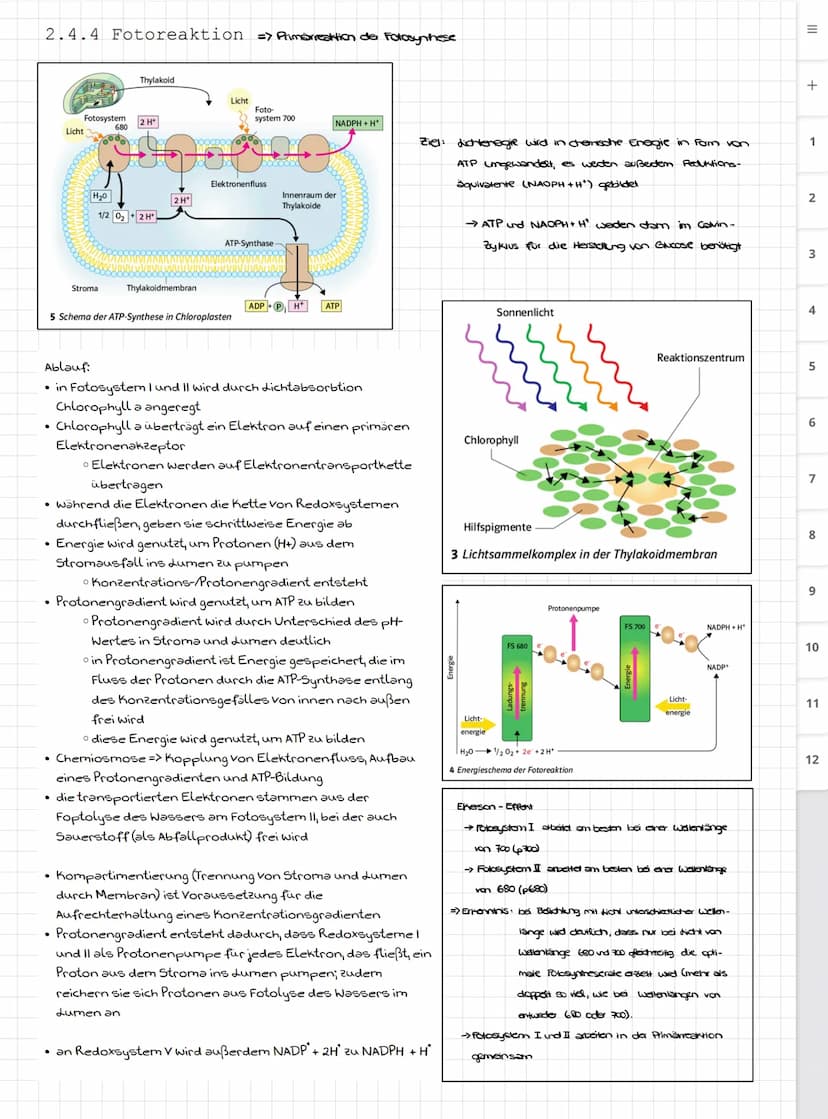 Biologie LK
Abiturvorbereitung abitur.nrw
Leistungskurs
Genetik
Meiose und Rekombination
Analyse von Familienstammbäu-
men
Proteinbiosynthes