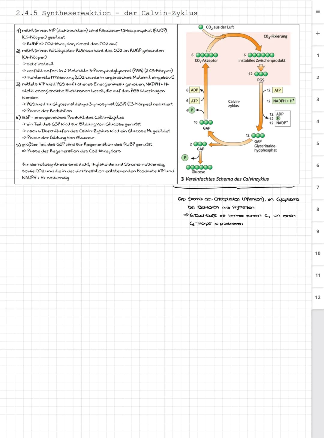 Biologie LK
Abiturvorbereitung abitur.nrw
Leistungskurs
Genetik
Meiose und Rekombination
Analyse von Familienstammbäu-
men
Proteinbiosynthes