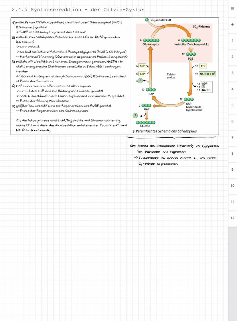 Biologie LK
Abiturvorbereitung abitur.nrw
Leistungskurs
Genetik
Meiose und Rekombination
Analyse von Familienstammbäu-
men
Proteinbiosynthes