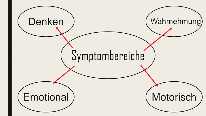 Schizophrenie Leral Schizophrenie - Übersicht
1.Was ist Schizophrenie ?
2.Symptomatik
3. Varianten
4.Auslöser
5.Behandlung
6. Quellen 1.Was 