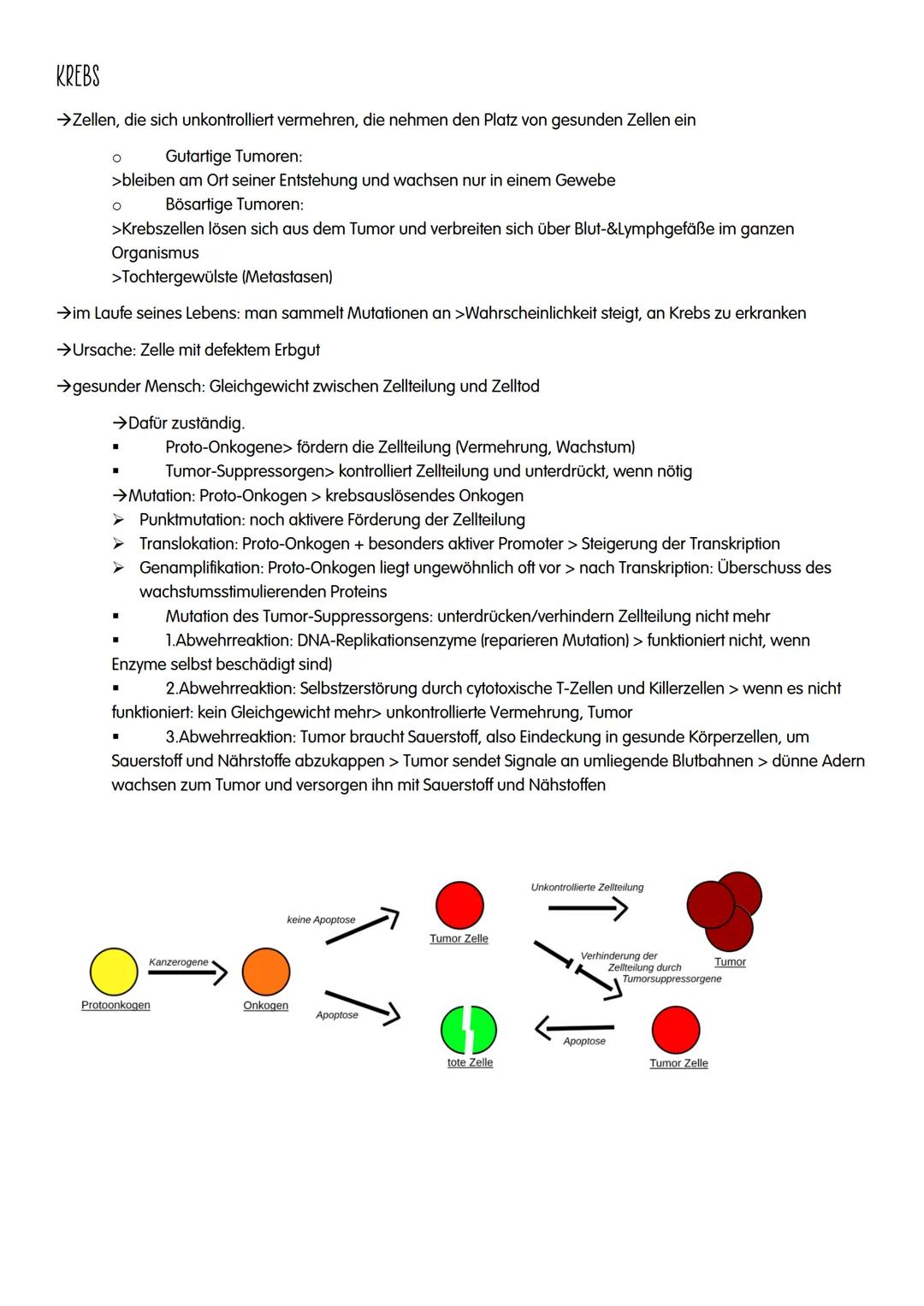 M GENETIK
AUFBAU UND REPLIKATION DER DNA
→Watson-Crick-Modell:
-DNA-Strukturmodell, das besagt, dass die DNA aus zwei
ähnelnden Strängen bes