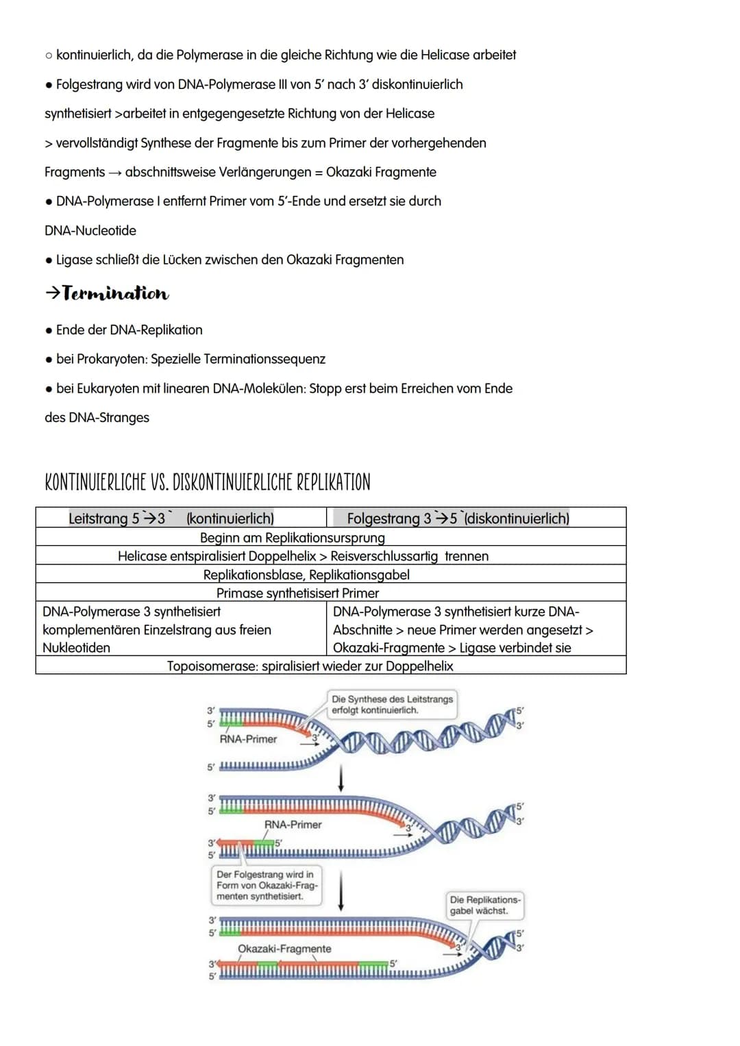 M GENETIK
AUFBAU UND REPLIKATION DER DNA
→Watson-Crick-Modell:
-DNA-Strukturmodell, das besagt, dass die DNA aus zwei
ähnelnden Strängen bes