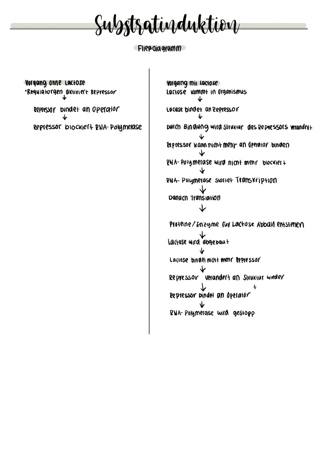 Operon-Modell:
DKA
DNA
Operon, wenn keine Lactose vorhanden ist:
DKA
Regulatorgen
Substratinduktion
Regulatorgen
Regulatorgen
deaktivierter
