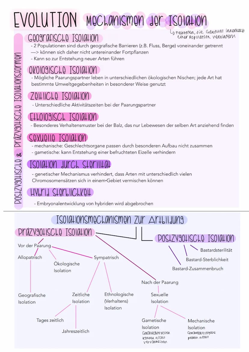 EVOLUTION Cuvier Lamarck Darwin
Cuvier
Katastrophentheorie
- Konstanz der Arten (keine Evolution)
- Naturkatastrophen Ursache für das Versch