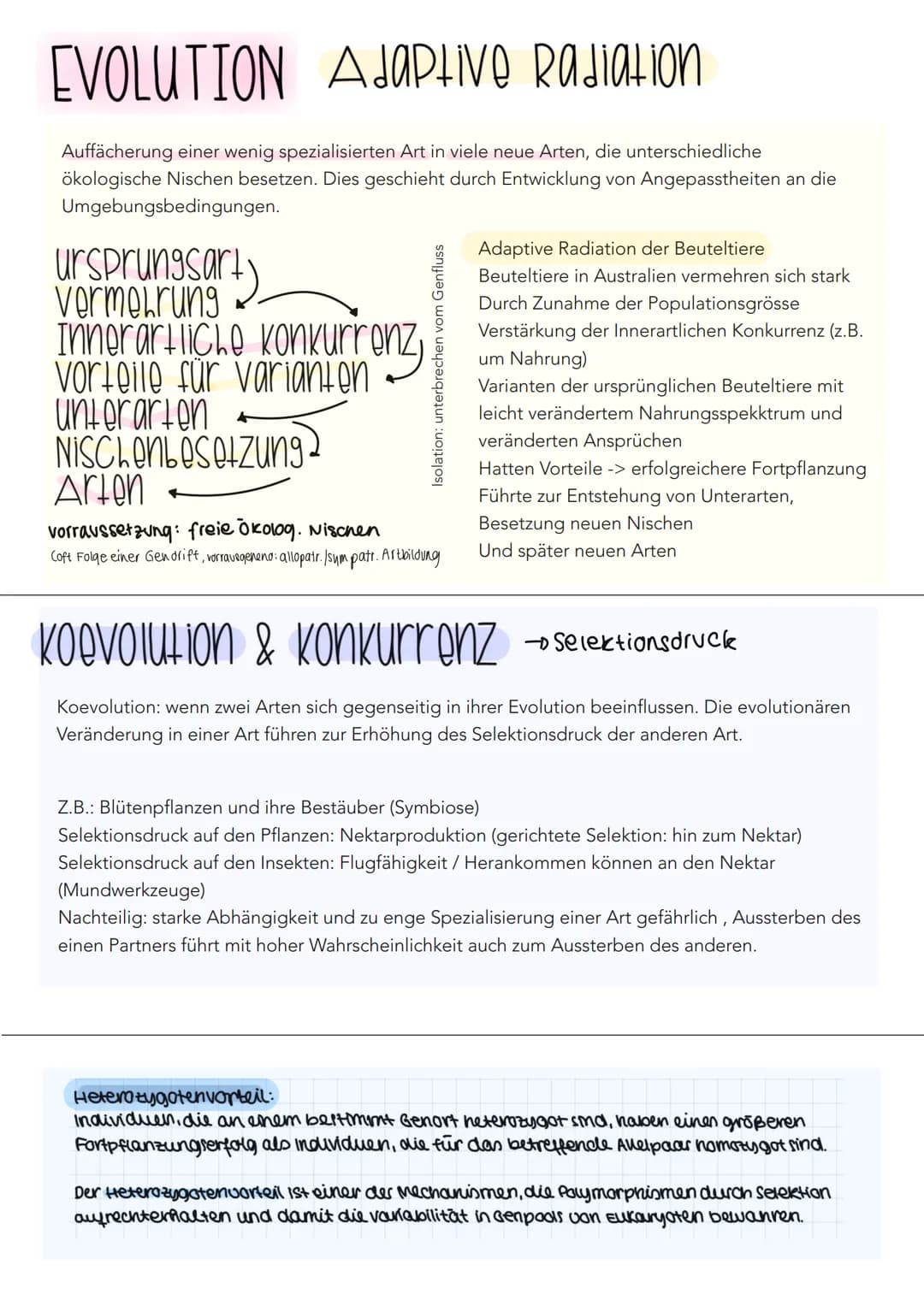 EVOLUTION Cuvier Lamarck Darwin
Cuvier
Katastrophentheorie
- Konstanz der Arten (keine Evolution)
- Naturkatastrophen Ursache für das Versch